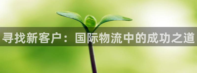 超凡国际模拟器下载：寻找新客户：国际