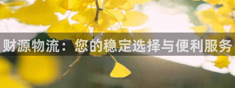 超凡国际推广链接是多少粉丝：财源物流