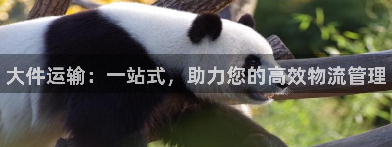 超凡国际注册条件：大件运输：一站式，