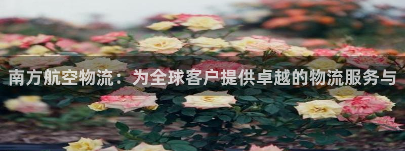 pc超凡国际怎么注册：南方航空物流：
