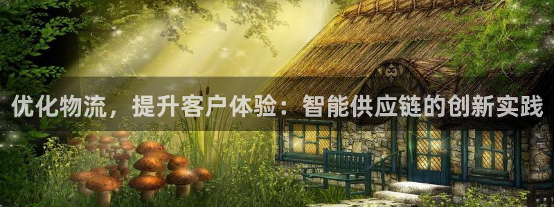 超凡国际黑吗：优化物流，提升客户体验
