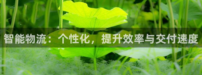 超凡国际官方平台：智能物流：个性化，