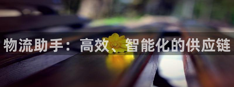 超凡国际二维码：物流助手：高效、智能