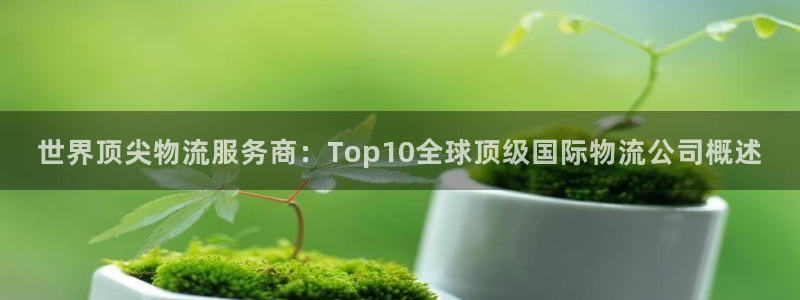 超凡国际官方网站是多少：世界顶尖物流