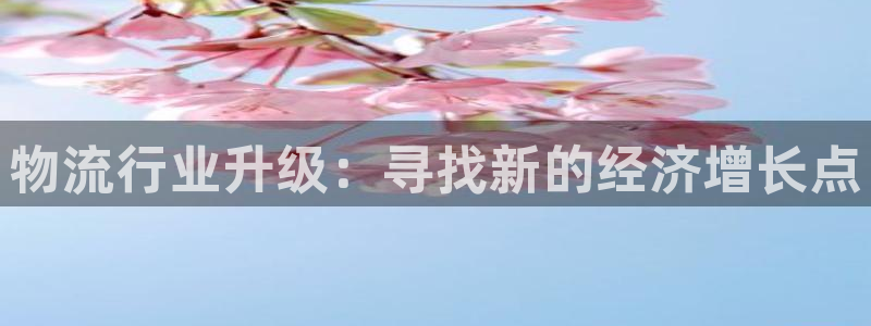 超凡国际自行车图片：物流行业升级：寻