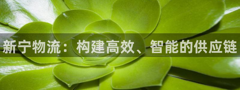 超凡国际为什么没有赢过一次：新宁物流