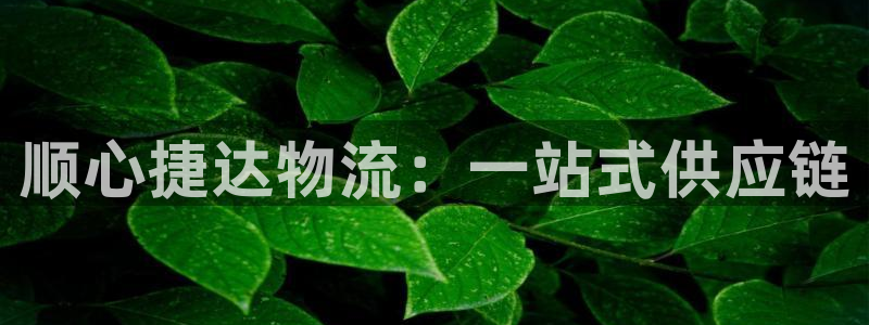 超凡国际分分28输了能不能退：顺心捷达物流：一站式供应链