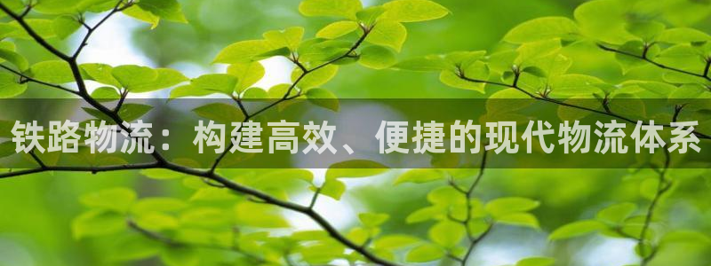 超凡国际连接：铁路物流：构建高效、便