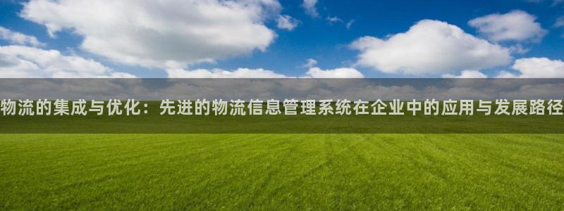 pc超凡国际怎么注册：物流的集成与优