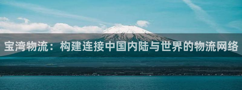 超凡国际能赢钱吗：宝湾物流：构建连接