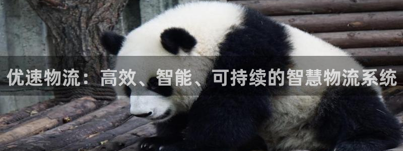 超凡国际违法吗：优速物流：高效、智能
