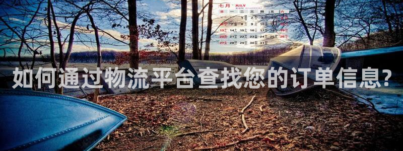 超凡国际赌博被抓:如何通过物流平台查