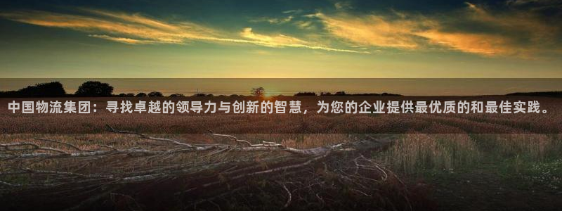 超凡国际流水怎么算:中国物流集团:寻