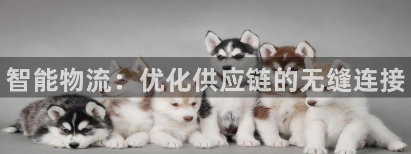 超凡国际官网版2024:智能物流:优