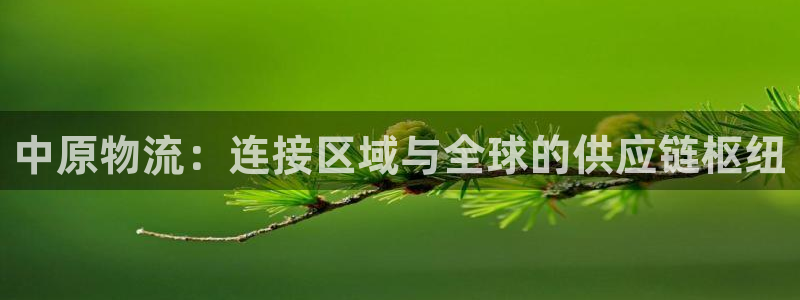 超凡国际犯法吗：中原物流：连接区域与