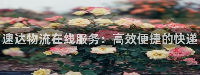 超凡国际充值不处理：速达物流在线服务：高效便捷的快递